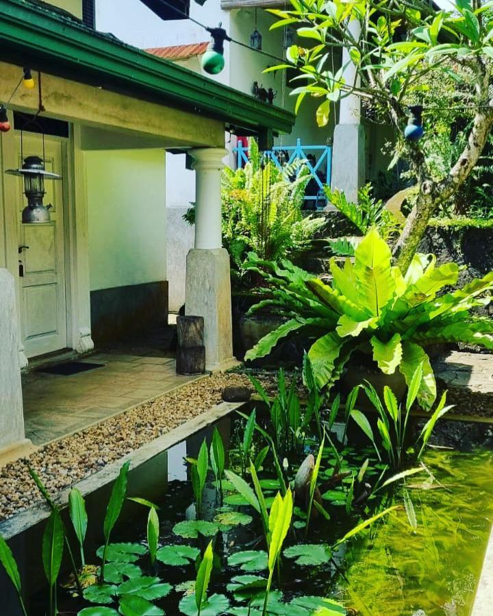 Jansen'S Bungalow Sinharaja Rainforest Retreat Kudawe Екстер'єр фото