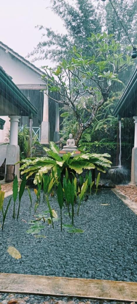Jansen'S Bungalow Sinharaja Rainforest Retreat Kudawe Екстер'єр фото
